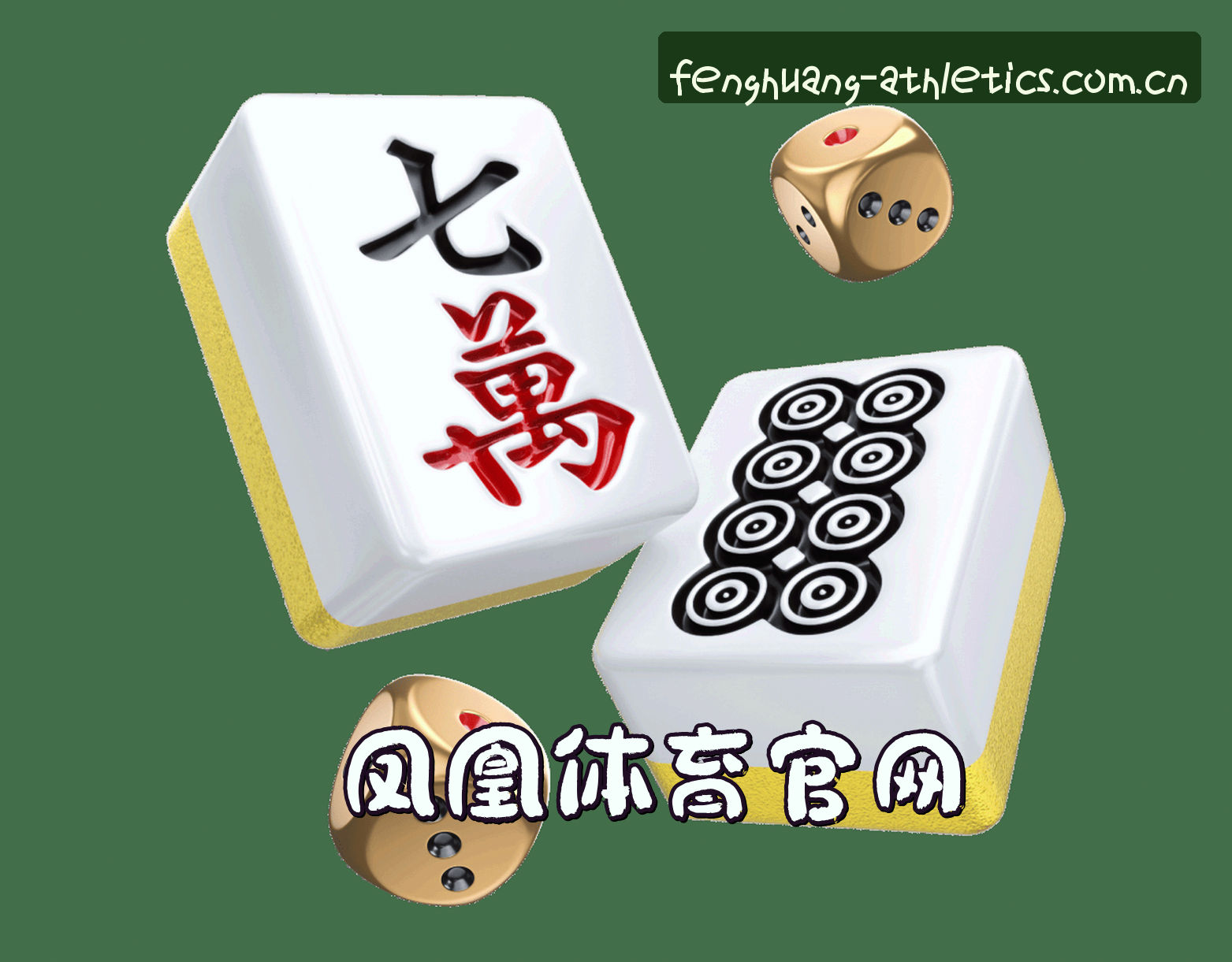 关于我们关于我们信息